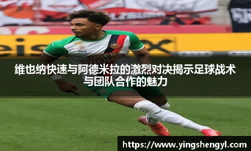 熊猫体育官方网站